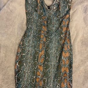 Holt Miami Hand Painted Snakeskin Print Mini Dress